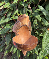 Coconut Bird Feeder - Bird
