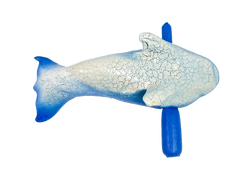 Dolphin Whistle and Guiro