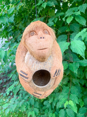 Coconut Monkey Birdhouse