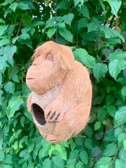 Coconut Monkey Birdhouse