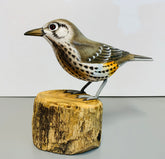 Handpainted Carved Mistle Thrush on Wood