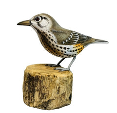 Handpainted Carved Mistle Thrush on Wood