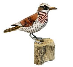 Handpainted Carved Fieldfare on Wood