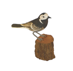 Handpainted Carved Pied Wagtail on Wood
