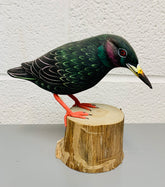 Handpainted Carved Starling on Wood