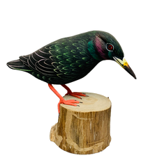 Handpainted Carved Starling on Wood