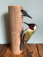 Handpainted Carved Green Woodpecker & Baby on Wood