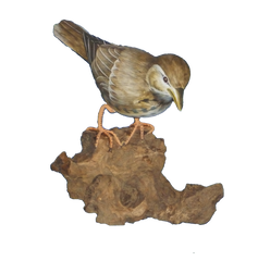 Handpainted Carved Mistle Thrush on Wood