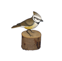 Handpainted Carved Crested Tit on Wood