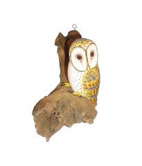 HandPainted Carved Owl on Wood - Wall