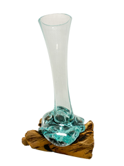 Coffee Root with Glass Vase Small