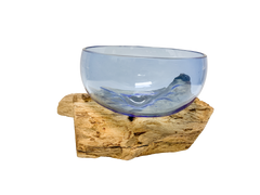 Coffee Root with Blue Glass Bowl - 15cm