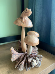 Frog on Mushrooms
