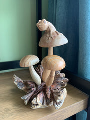 Frog on Mushrooms