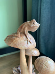 Frog on Mushrooms