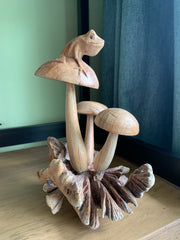Frog on Mushrooms