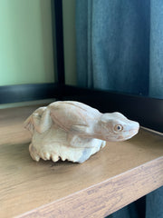 Wooden Carved Frog on Parasite Wood