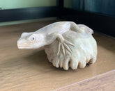 Wooden Carved Frog on Parasite Wood