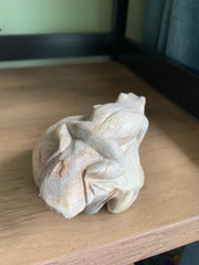 Wooden Carved Frog on Parasite Wood