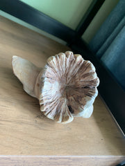 Wooden Carved Frog on Parasite Wood