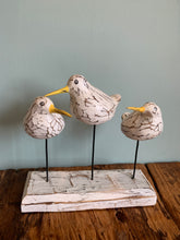 Bool Bird x 3 Perching