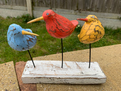 Bool Bird Multicoloured x 3 Perching