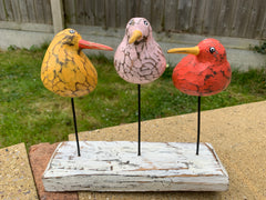 Bool Bird Multicoloured x 3 Perching