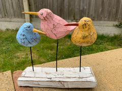 Bool Bird Multicoloured x 3 Perching