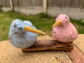 Bool Bird Multicoloured x 2 on Coffee Root