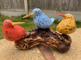 Bool Bird Multicoloured x 3 on Coffee Root