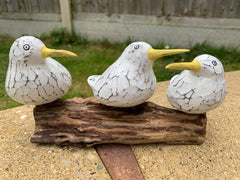 Bool Bird Multicoloured x 3 on Coffee Root