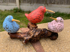 Bool Bird Multicoloured x 3 on Coffee Root