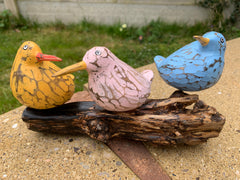 Bool Bird Multicoloured x 3 on Coffee Root