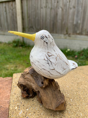 Bool Bird x 1 on Coffee Root