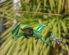 Coconut Flying Dragon - Green