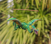 Coconut Flying Dragon - Green