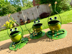 Painted Metal Frogs - Assorted Designs