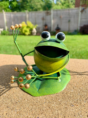 Painted Metal Frogs - Assorted Designs