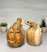 Gecko on Egg - Various Sizes