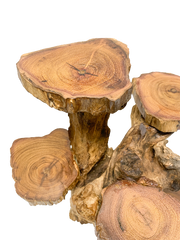 Coffee Tree Display - 5 Platforms