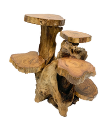 Coffee Tree Display - 5 Platforms