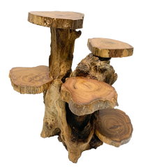 Coffee Tree Display - 5 Platforms