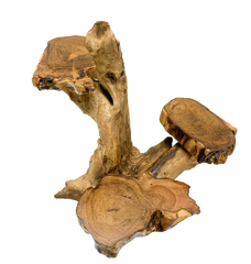 Coffee Tree Display - 3 Platforms