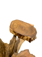 Coffee Tree Display - 3 Platforms