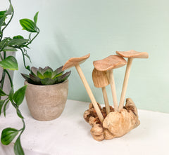 Mushrooms Toadstools Group of Four on Parasite Wood