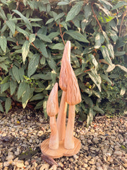 Natural Wooden Morel Mushrooms with Base