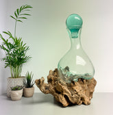 Coffee Root with Glass Caraffe and Stopper