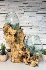 Coffee Root with 2 x Glass Bowls