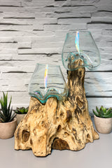 Coffee Root with 2 x Glass Bowls