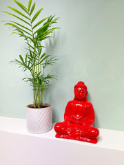 Gloss Resin Buddha Red - Various Sizes